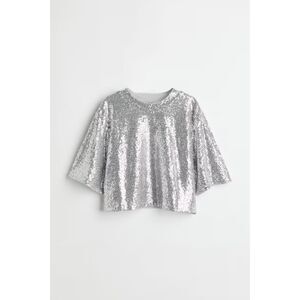 Brand New BNWT H&M HM Sequined Crop Top Silver Short Sleeve Shirt Small SOLD OUT